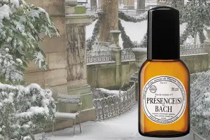 Eau de Parfum Presence on a Winter Park Scene with a Bench 600x400x72