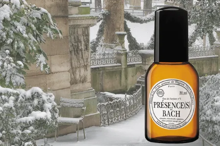 Eau de Parfum Presence on a Winter Park Scene with a Bench 600x400x72 PANDA